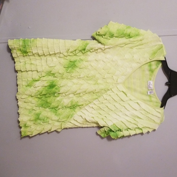 Green Ruffled V-Neck Top - Picture 1 of 4